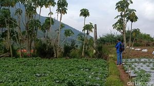 Potret Kawasan yang Dianggap Kampung Kaum Sodom di Dieng