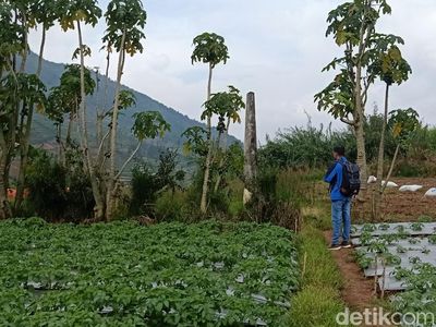Potret Kawasan yang Dianggap Kampung Kaum Sodom di Dieng