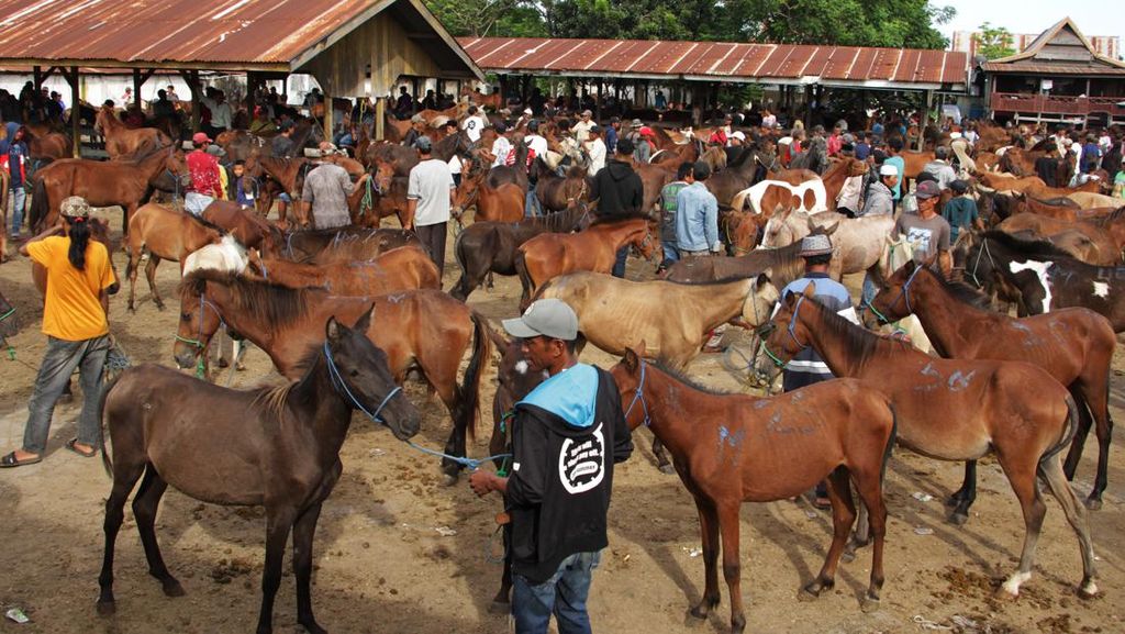 Potret Pasar Kuda di Jeneponto