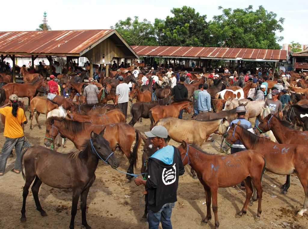 Potret Pasar Kuda di Jeneponto