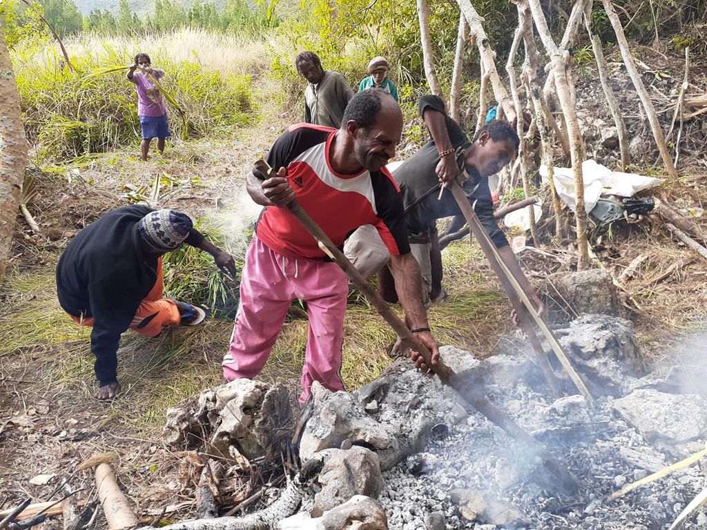 Tidak Menggoreng Setiap Hari, Di Papua Adanya Bakar Batu