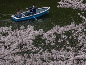 Jumlah Anak di Jepang Diprediksi Tinggal 1 Orang di Tahun Ini Jumlah Anak di Jepang Diprediksi Tinggal 1 Orang di Tahun Ini