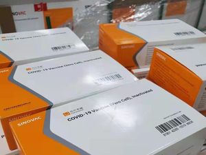 Kemenkes Bolehkan Vaksin Sinovac Jadi Pilihan Booster Halal Kemenkes Bolehkan Vaksin Sinovac Jadi Pilihan Booster Halal