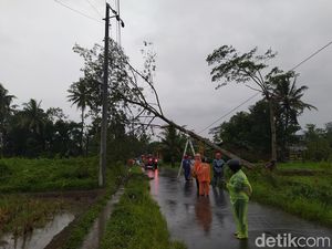 Angin Kencang Landa Magelang, Sejumlah Rumah Rusak-Pohon Tumbang