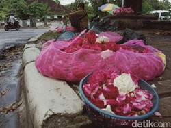 Jangan Kaget Lur, Harga Bunga Tabur Klaten Lebih Mahal dari Daging Sapi