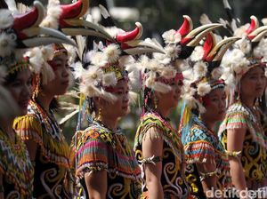 Hukum Adat Kalimantan: Pengertian dan Contoh-contohnya