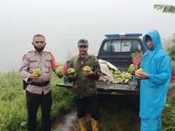 Ipda Purwanto Gulirkan Kampung Sayur dan Sedekah ke Ratusan Panti Asuhan