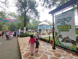 Jumlah Pengunjung KBS Diprediksi Turun Saat Ramadan