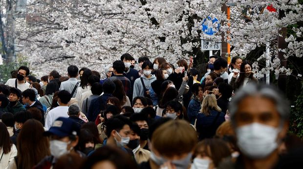 People wearing protective masks, amid the coronavirus disease (COVID-19) outbreak, walk underneath blooming cherry blossoms along the Meguro river in Tokyo, Japan, March 27, 2022. REUTERS/Kim Kyung-Hoon