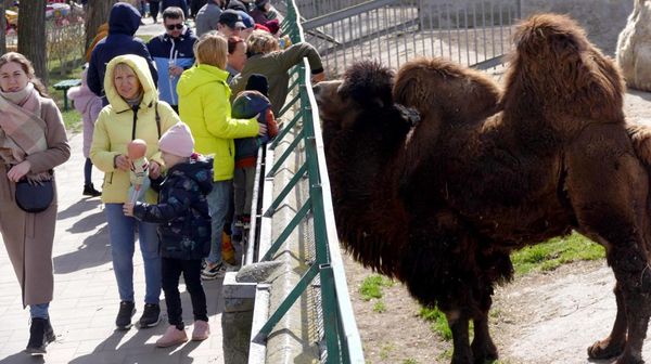 Masih Perang, Warga Sempatkan Berlibur ke Kebun Binatang di Ukraina