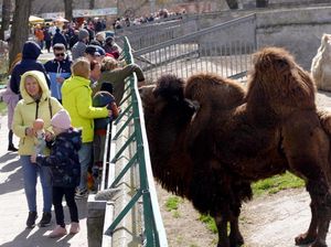 Masih Perang, Warga Sempatkan Berlibur ke Kebun Binatang di Ukraina Masih Perang, Warga Sempatkan Berlibur ke Kebun Binatang di Ukraina