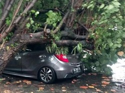 Hujan Lebat-Angin Kencang Sapu Sleman, Ini Deretan Dampaknya