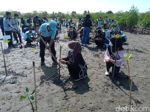 Jaga Ekosistem, Mahasiswa Ciamis Tanam Mangrove di Pangandaran Jaga Ekosistem, Mahasiswa Ciamis Tanam Mangrove di Pangandaran