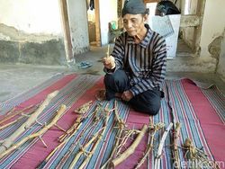 Pring Petuk, Bambu Langka yang Harganya Bisa Ratusan Juta Rupiah