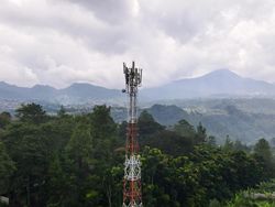 Bos Operator Seluler: Apa Yakin Nggak Butuh BTS?