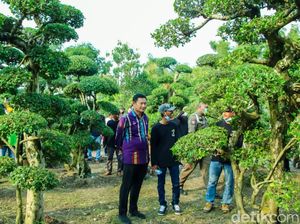 Pesona Wanar Lamongan, Desa Wisata Budidaya Beragam Tanaman Hias Pesona Wanar Lamongan, Desa Wisata Budidaya Beragam Tanaman Hias