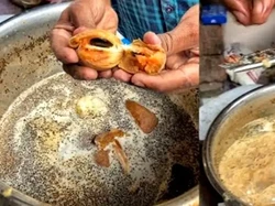 Nyeleneh! Penjual Teh di India Racik Teh Pakai Pisang dan Sawo