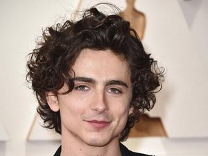 Debut Timothée Chalamet di Panggung Teater Dibatalkan