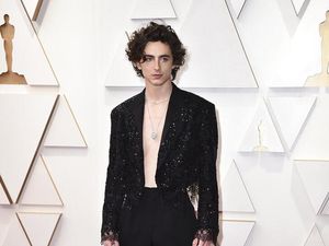 Soal Musim 3 Yumis Cells, Timothee Chalamet Jadi Pasangan Kim Go Eun? Soal Musim 3 Yumis Cells, Timothee Chalamet Jadi Pasangan Kim Go Eun?