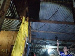 Hujan Angin Landa Pasuruan, Lima Pohon Tumbang Hingga Trafo Meledak