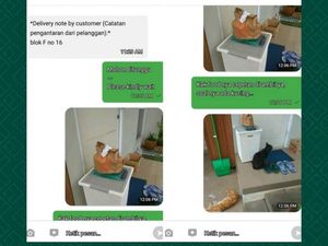 Curhatan Driver Ojol Kocak, Ada Jual Nasi Padang Salah Lauk sampai Dicolong Kucing