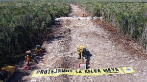 Hutan Adat di Meksiko Tergusur Proyek KA, Greenpeace Protes Keras
