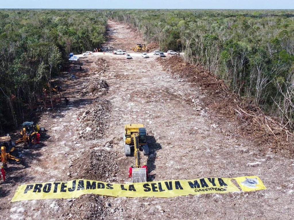 Hutan Adat di Meksiko Tergusur Proyek KA, Greenpeace Protes Keras