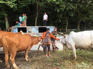 Mengenal Gelaran Upacara Adat Gumbreg di Seloharjo Bantul
