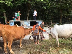 Mengenal Gelaran Upacara Adat Gumbreg di Seloharjo Bantul