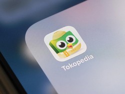 Tren Belanja di Tokopedia: Pengiriman dari Sulawesi ke Papua Naik 65x