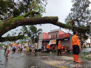Hujan Angin Terjang Ciamis, Sejumlah Pohon di Jalan Nasional Tumbang