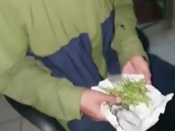 Kisah Pria Lapor Polisi Usai Beli Ganja tapi Dapat Daun Tanaman Hias