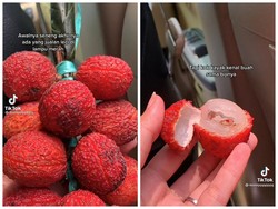 Zonk! Dikira Leci, Wanita Ini Ternyata Ketipu Pedagang Rambutan