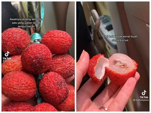 Zonk! Dikira Leci, Wanita Ini Ternyata Ketipu Pedagang Rambutan Zonk! Dikira Leci, Wanita Ini Ternyata Ketipu Pedagang Rambutan