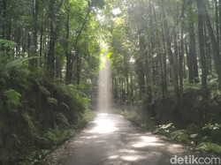 Sirah Kencong Dulu Sejuk, Kini Tak Terawat hingga Mengeluarkan Aroma Busuk