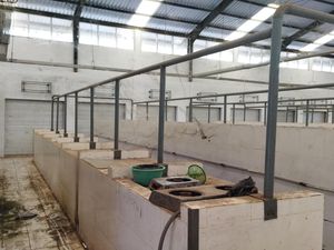 Tak Mau Merugi, Pedagang Ogah Tempati Pasar Baru Cibaliung Pandeglang Tak Mau Merugi, Pedagang Ogah Tempati Pasar Baru Cibaliung Pandeglang