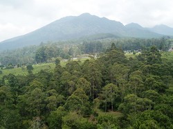 Safari Hutan Lembang, Bisa Ngetrail Sambil Jaga Alam