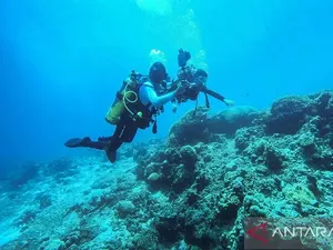 Video: 3 Wisata Selam Indonesia yang Diklaim Terbaik di Dunia Video: 3 Wisata Selam Indonesia yang Diklaim Terbaik di Dunia