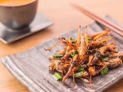 Youtuber Ini Tantang Orang Jepang Makan Belalang Goreng, Berakhir Ketagihan