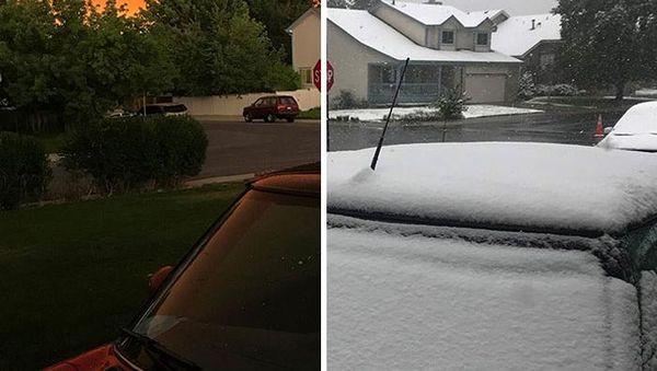 Potret Bukti Mengerikan Perubahan Iklim