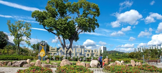 Foto Busan Citizen Park yang terletak di Busan/visitbusan.net Busan Citizen Park dulunya merupakan bekas kamp militer, namun saat ini digunakan sebagai tempat wisata yang cocok untuk berpiknik.