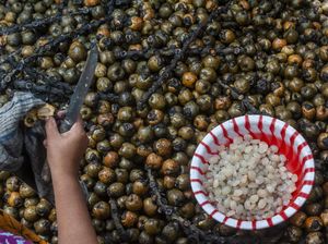Jelang Ramadan, Petani Kolang-kaling Mulai Tersenyum Lebar