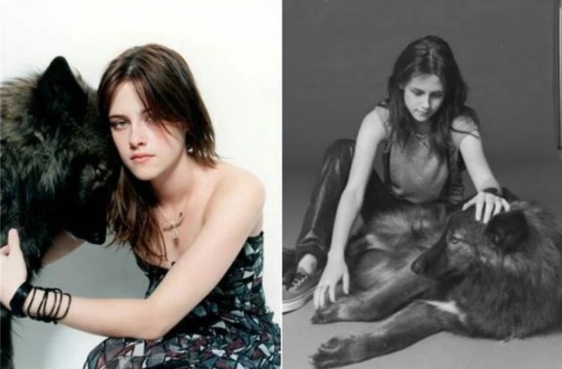 Kristen Stewart dengan Peliharaannya/Tangkapan Layar/modernclassics.info