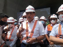 Luhut Dinilai Wajar Dianggap Prime Minister, Emban Banyak Tugas Presiden