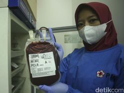 Fakta-fakta Golongan Darah A yang Disebut Rentan Kena Stroke di Usia Muda