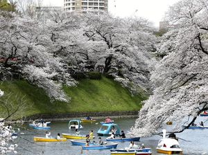 Jepang akan Buka Penuh, Sebelum Itu Ada Wisata Uji Coba
