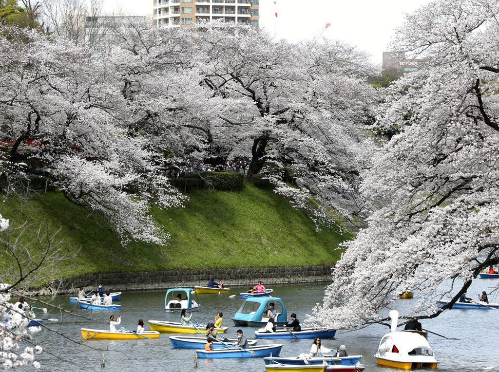 Jepang akan Buka Penuh, Sebelum Itu Ada Wisata Uji Coba Jepang akan Buka Penuh, Sebelum Itu Ada Wisata Uji Coba