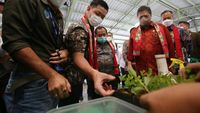 Momen Menko Airlangga Tinjau Gerakan Ekonomi Hijau