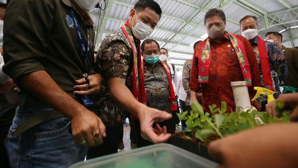 Momen Menko Airlangga Tinjau Gerakan Ekonomi Hijau