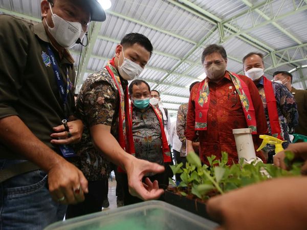 Momen Menko Airlangga Tinjau Gerakan Ekonomi Hijau